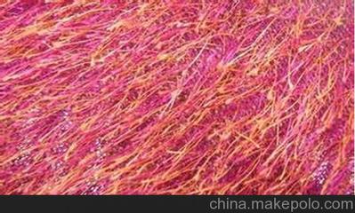 南京松针绒销售与扬州凯润达针纺织品 品质与信赖的双重保障